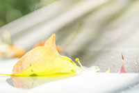 被重点盯防 被重点盯防