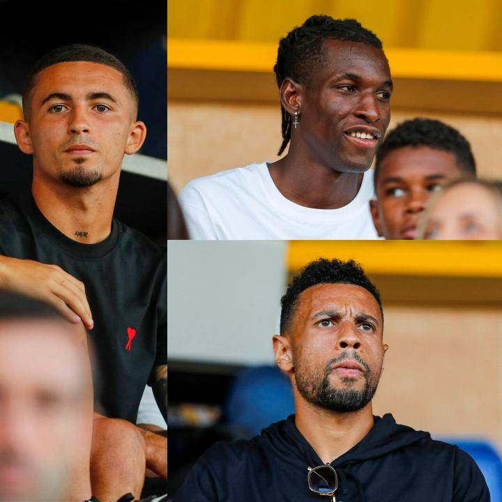 会在专业的 会在专业的